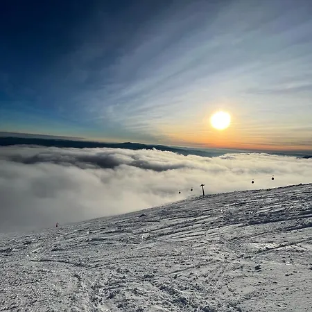 Cosy 1-bedroom With Free Parking * Demanovska Dolina