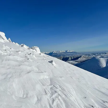 Cosy 1-bedroom With Free Parking Appartement Demänovská Dolina