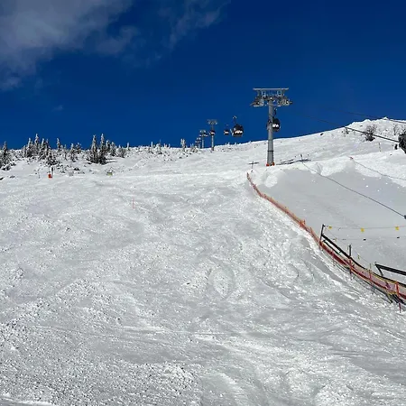 Cosy 1-bedroom With Free Parking 아파트 데마노브스카돌리나