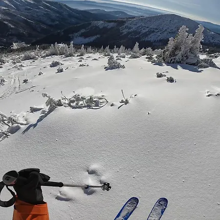 Cosy 1-bedroom With Free Parking Appartement