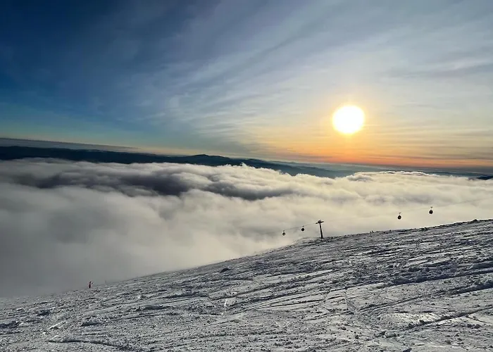 Cosy 1-bedroom With Free Parking * Demänovská Dolina