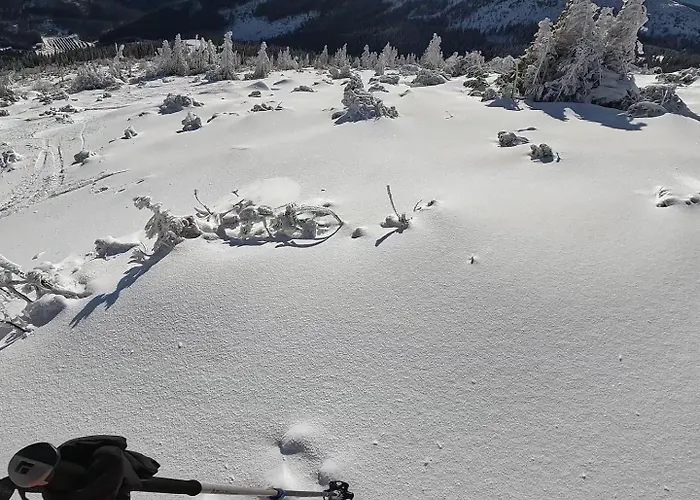 Cosy 1-bedroom With Free Parking Appartamento